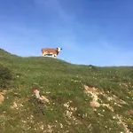 Remise Am Reitl شقة *