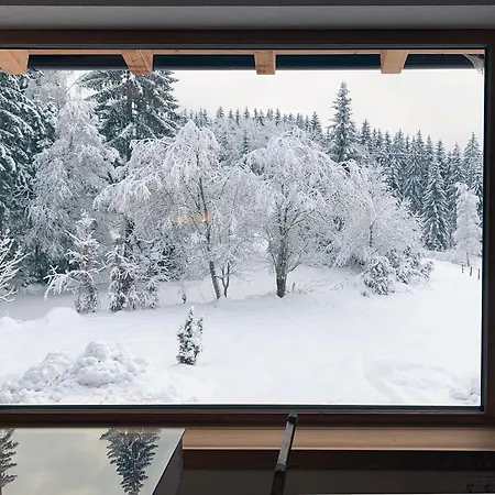 Lejlighed Remise Am Reitl Fieberbrunn