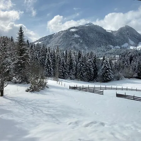 Appartement Remise Am Reitl Fieberbrunn