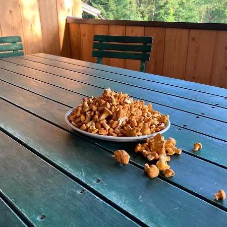 アパート Remise Am Reitl *