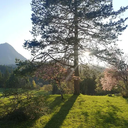 Remise Am Reitl フィーバーブルン