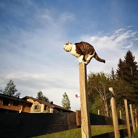 アパート Remise Am Reitl